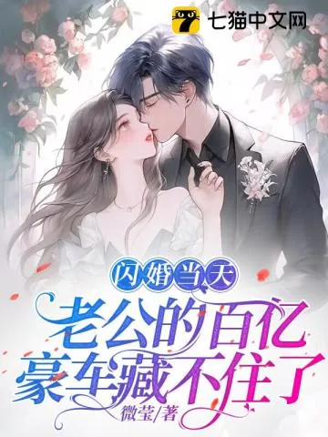 《闪婚当天，老公的百亿豪车藏不住了》小说封面