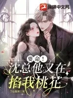《要命！沈总他又在掐我桃花》小说封面