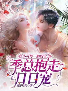 《小可怜一胎四宝,季总抱走日日宠》小说封面