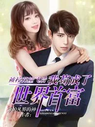 《陈凡左冰》小说封面