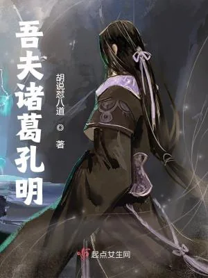 《吾夫诸葛孔明》小说封面
