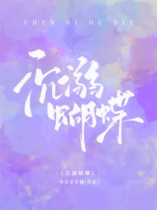 《沉溺蝴蝶》小说封面