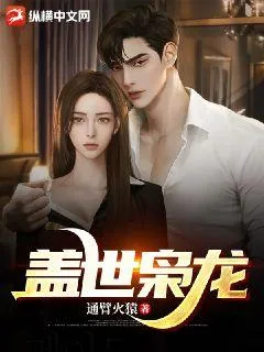 《盖世枭龙》小说封面