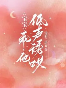 《宝宝,乖,他低声诱哄》小说封面