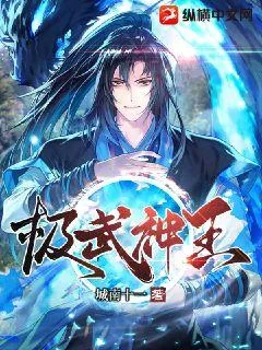 《极武神王》小说封面