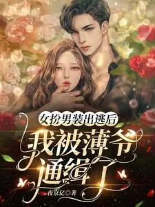 《女扮男装出逃后,我被薄爷通缉了》小说封面