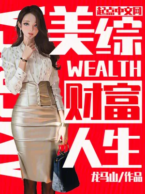 《美综财富人生》小说封面
