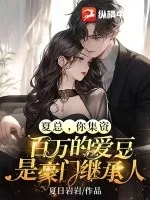 《夏总,你集资百万的爱豆是豪门继承人》小说封面