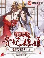 《启禀陛下：贵妃娘娘她要摆烂了》小说封面