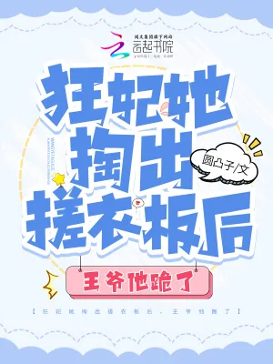 《狂妃她掏出搓衣板后，王爷他跪了》小说封面