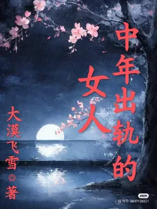 《中年出轨的女人》小说封面