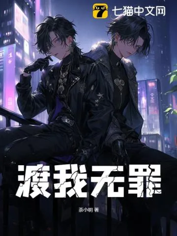 《渡我无罪》小说封面