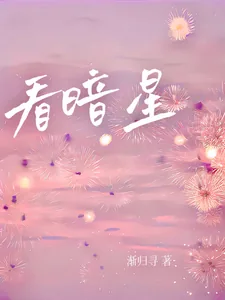 《看暗星》小说封面