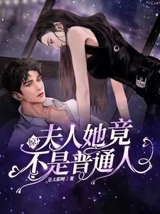 《惊！夫人她竟不是普通人》小说封面