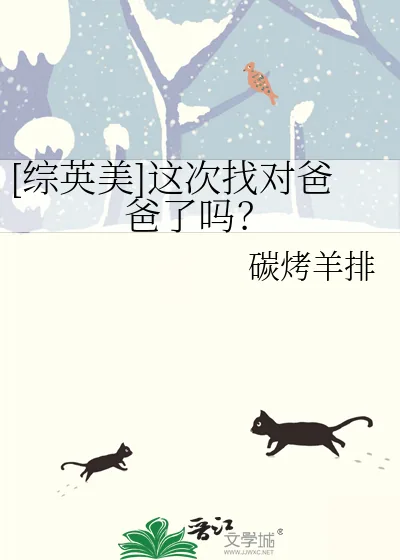 《[综英美]这次找对爸爸了吗？》小说封面