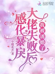 《感化暴戾大佬失败后，我被诱婚了》小说封面