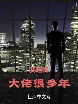《我唔做大佬很多年》小说封面