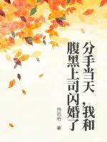 《分手当天,我和腹黑上司闪婚了》小说封面