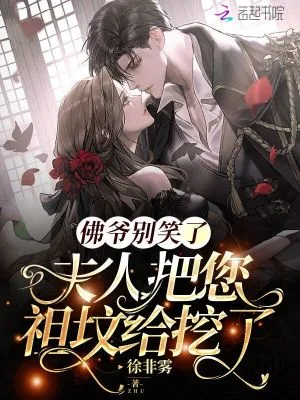 《佛爷别笑了,夫人把您祖坟给挖了》小说封面
