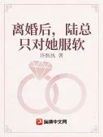 《离婚后，陆总只对她服软》小说封面