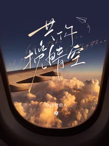 《共你揽晴空》小说封面