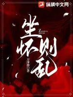 《坐怀则乱》小说封面