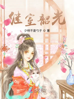 《继室韶光》小说封面