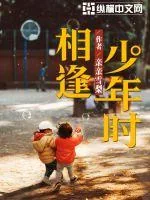 《相逢少年时》小说封面