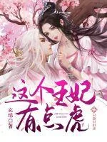 《这个王妃有点虎》小说封面