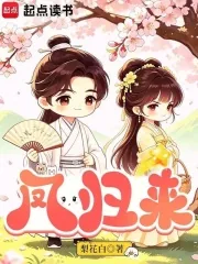 《凤归来》小说封面