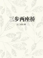 《三步两座桥》小说封面