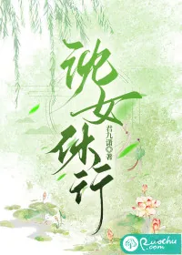 《沈女休行》小说封面