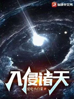 《入侵诸天》小说封面