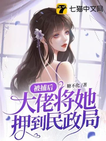 《被捕后,大佬将她押到民政局》小说封面