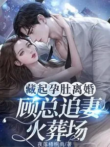 《藏起孕肚离婚，顾总追妻火葬场！》小说封面