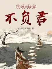 《不负金银不负君》小说封面