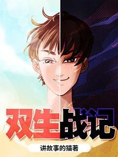 《双生战记》小说封面