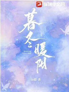 《暮冬暖阳》小说封面
