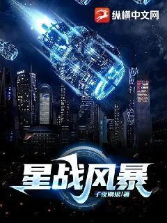 《星战风暴》小说封面