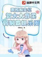 《离婚前失忆：贺太太靠柔弱制霸娱乐圈》小说封面