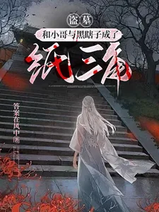 《盗墓：和小哥与黑瞎子成了纸三角》小说封面