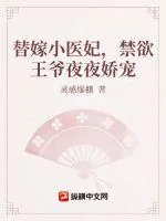 《替嫁小医妃,禁欲王爷夜夜娇宠》小说封面
