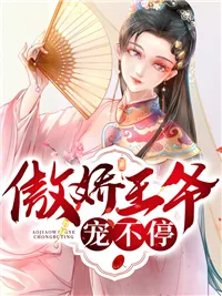 《傲娇王爷宠不停》小说封面