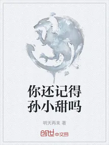 《你还记得孙小甜吗》小说封面