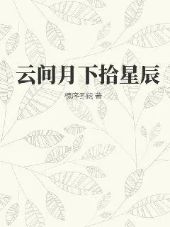 《云间月下拾星辰》小说封面