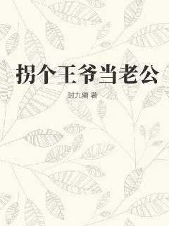 《拐个王爷当老公》小说封面