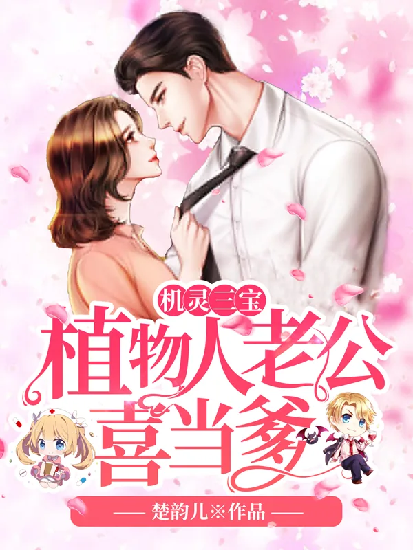 《沈爱玥南宫瑾诺》小说封面