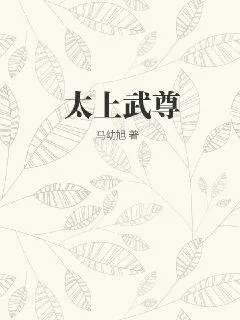 《太上武尊》小说封面