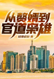 《从赘婿到官道枭雄》小说封面