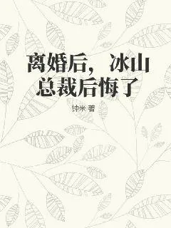 《离婚后,冰山总裁后悔了》小说封面